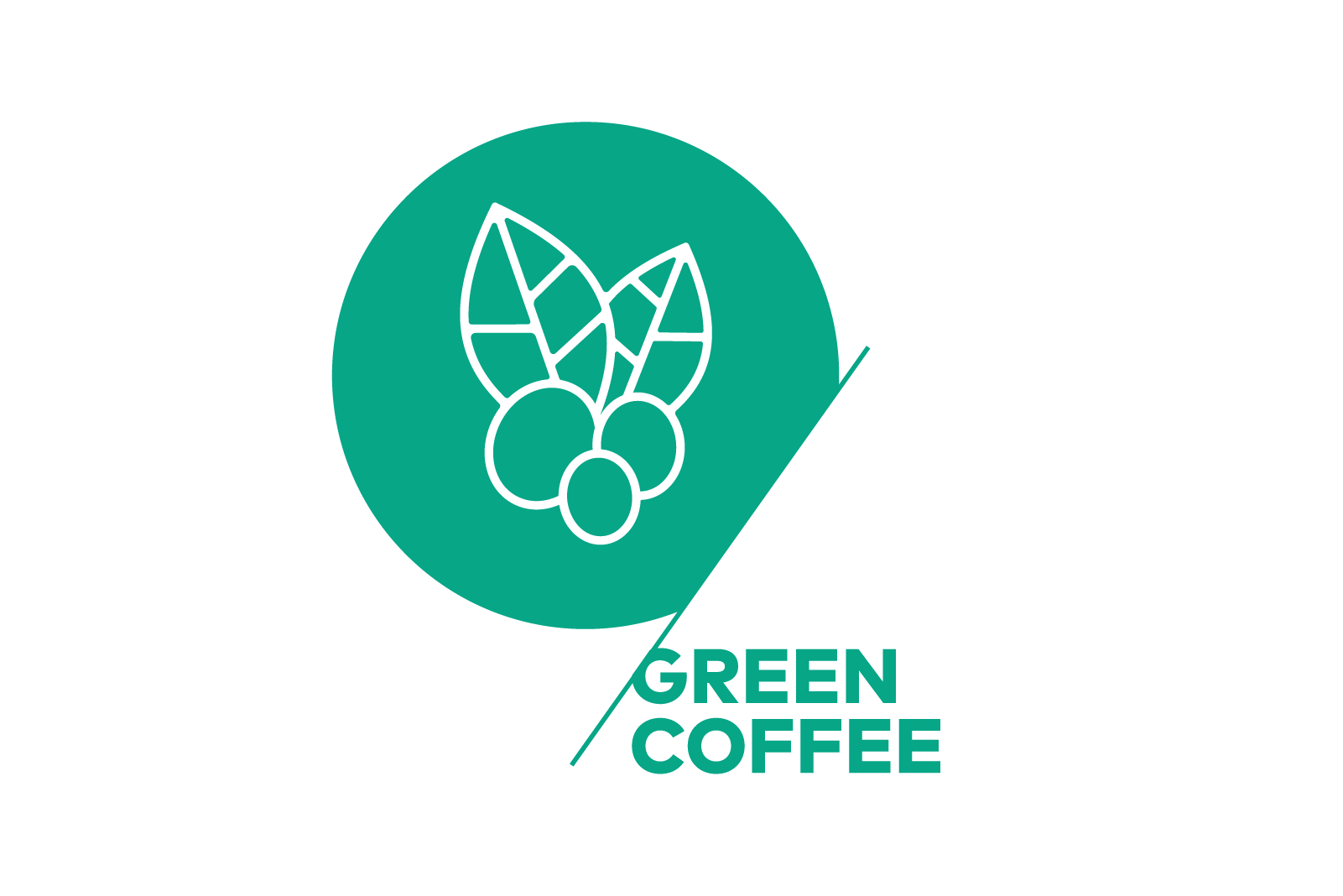 SCA Green Coffee Foundation Course