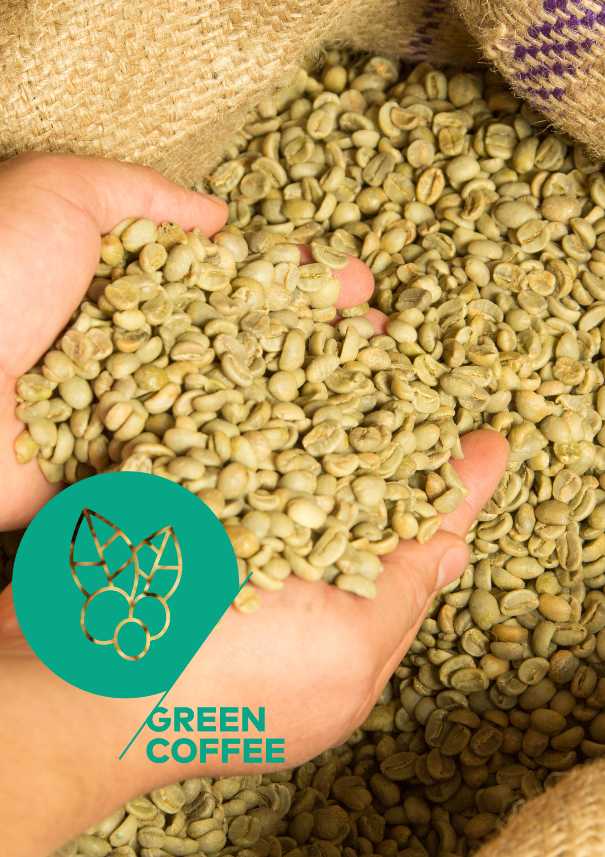 SCA Green Coffee Foundation Course